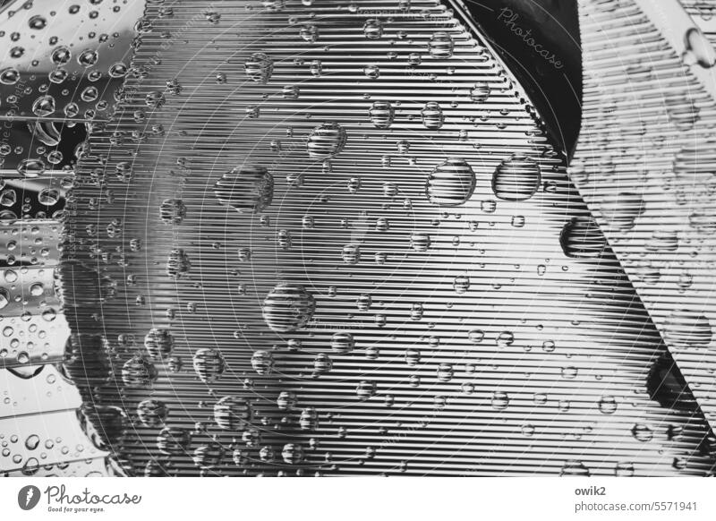 Pearls on the skin Detail Car headlights Glass broken Drops of water lines reflectors Mirror Glittering Metal technique Similarity Waist leg Thigh feminine sexy