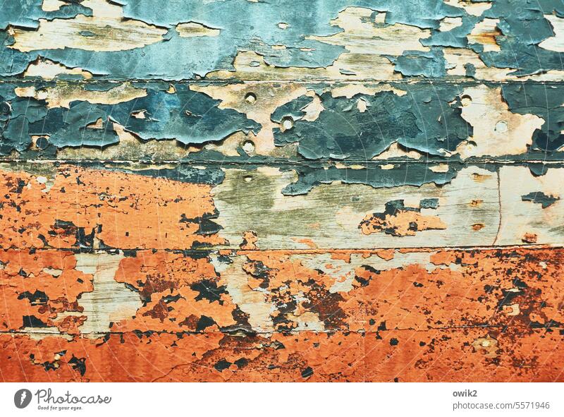 sign of wear Ship's side Surface structure Old Abrasion Change Ravages of time Structures and shapes Detail Close-up Colour photo Exterior shot Wild Bizarre