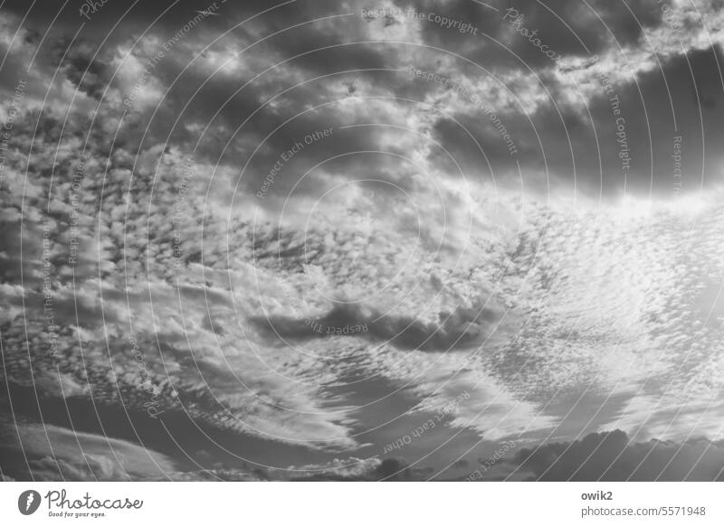 up there only clouds Exterior shot Sunlight Beautiful weather Black & white photo Above Deserted Air Nature Sky Light Flare