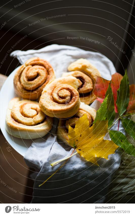 a plate with 5 cinnamon buns stands on a bench as decoration you can see colorful autumn leaves Baking Autumn biscuits Swede Cozy Eating To enjoy Food Delicious