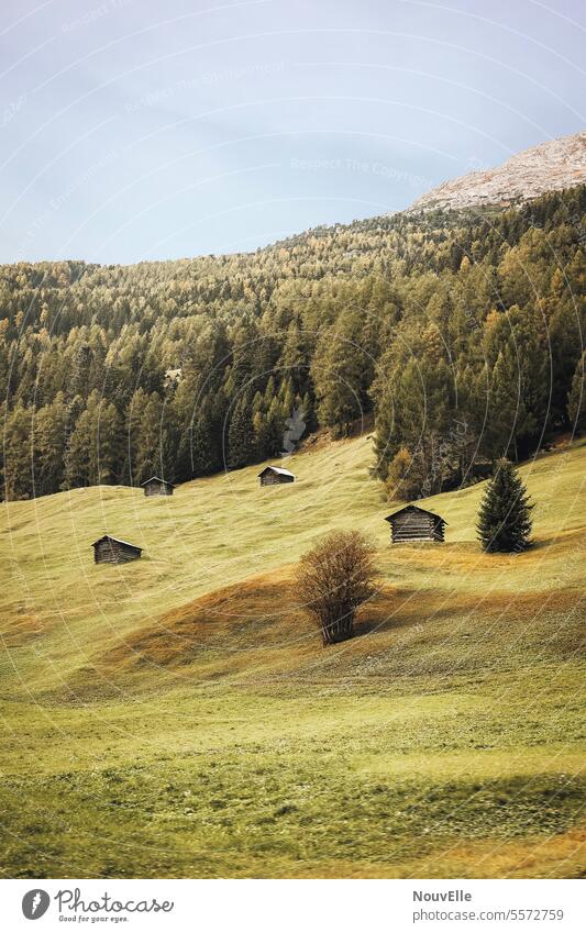 South Tyrolean landscape Wooden house Wooden hut Meadow forests Mountain Landscape Nature Vacation & Travel Hiking Green Relaxation Italy