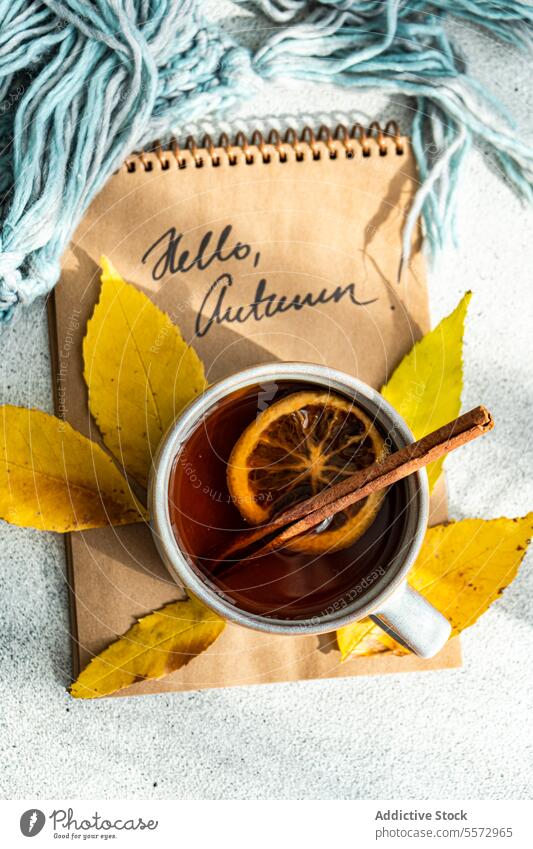 Autumn tea cup and festive block note spiced cinnamon anise dried orange slice leaf yellow autumn notebook greeting hello beverage blue scarf gray background