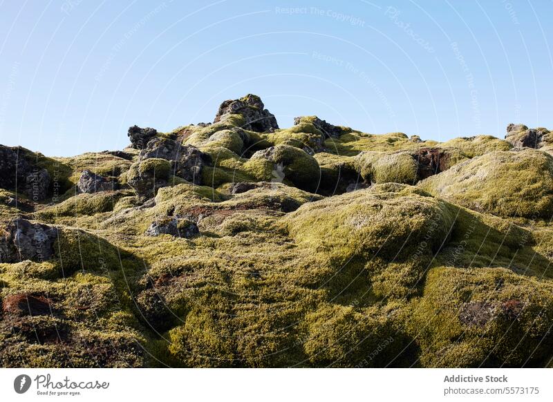 Rocks covered with moss on mountain against sky rock covering green land grass natural sunny environment plant landscape textured sunlight nature stone grow