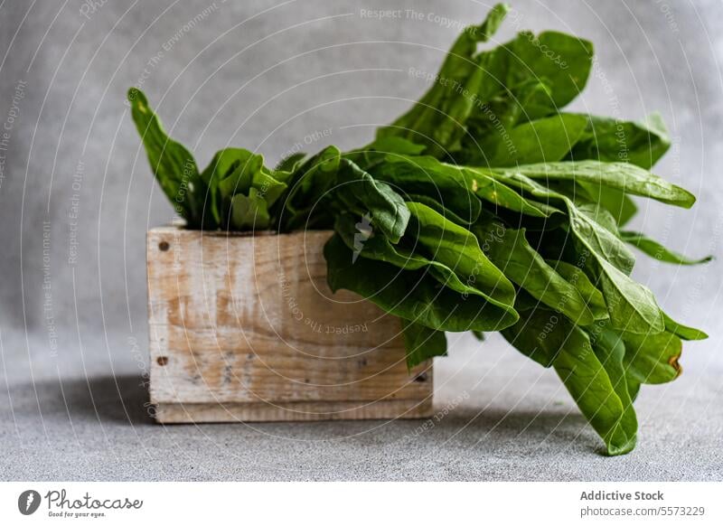 Spinach in wooden box spinach rustic fresh green leaf vegetable health produce organic culinary neutral background kitchen diet nutrition farm harvest vegan