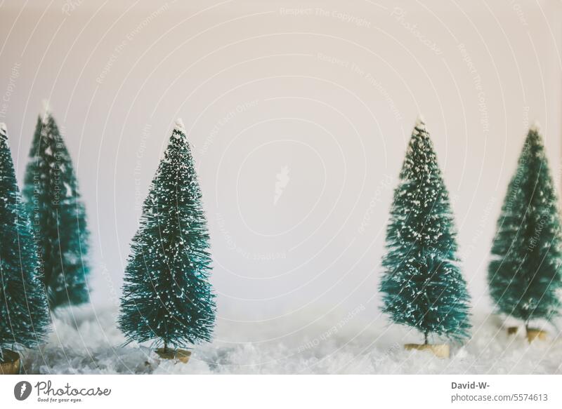 between snowy decoration - fir trees and text space Christmas Winter Snow Christmas decoration Placeholder Copy Space Decoration Christmassy firs winter