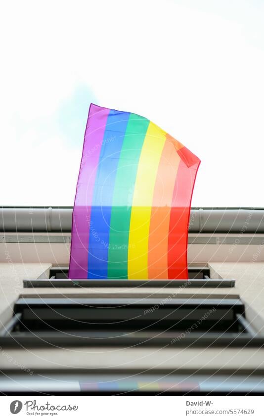 Flag / banner in rainbow colors rainbow flag Prismatic colors Blow Symbols and metaphors variety same sex lesbian Homosexual Freedom Rainbow flag Sexuality