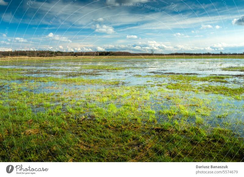 Water after rain on a green meadow water rural grass puddle nature landscape blue cloud sky weather wet country field ground background environment outdoor