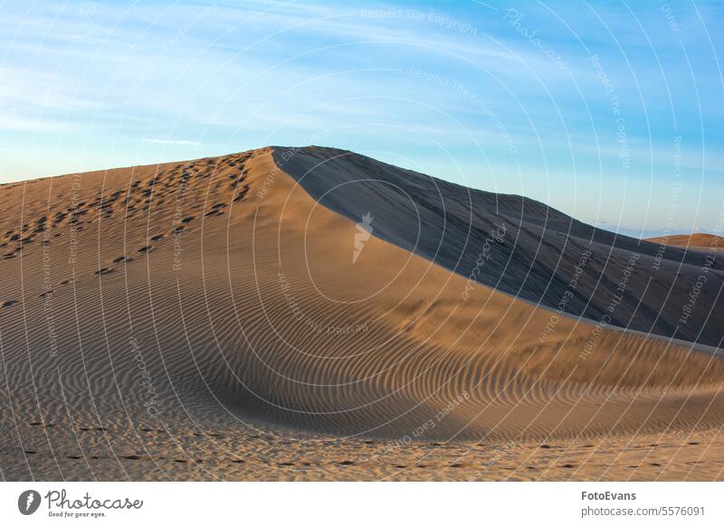 Sand dunes of Maspalomas on Gran Canaria in Spain dry copy space sand landscape desert endless nature holidays coast gold vacation background country