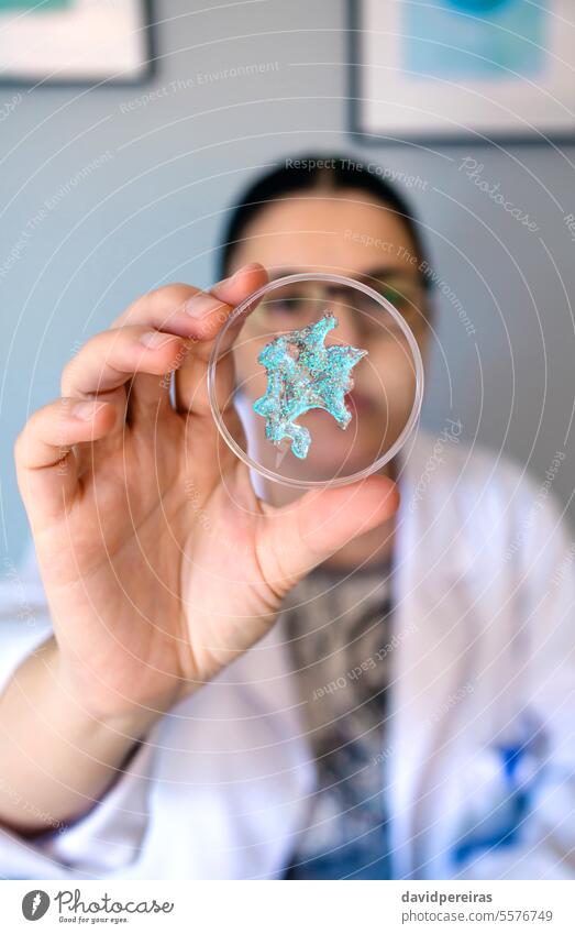Portrait of female chemist technician showing blue glitter sample over petri dish on lab looking portrait micro plastic microplastics laboratory environmental