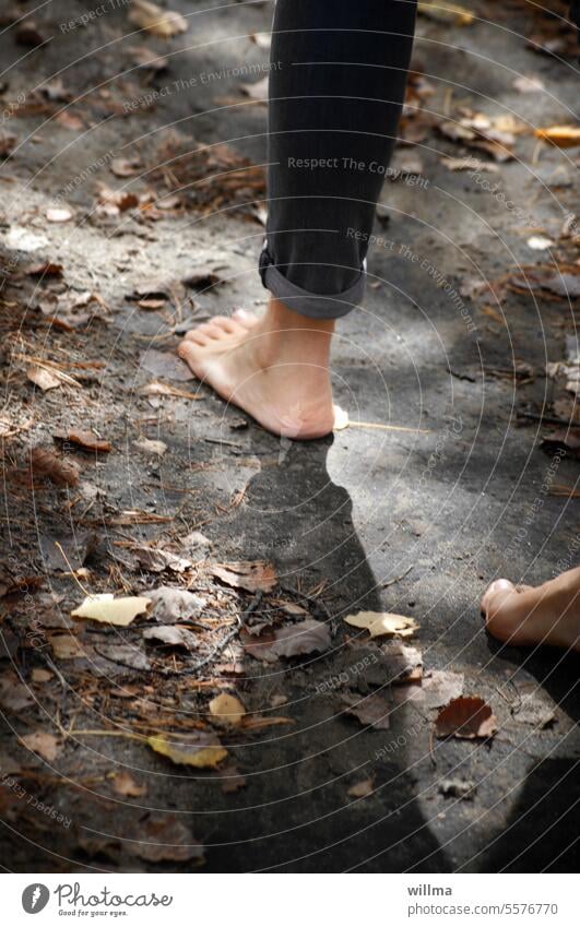 Walking barefoot in nature Barefoot run barefoot Pedestrian forest path foliage feet Going Hiking Woodground Sensory path barefoot path salubriously Autumnal