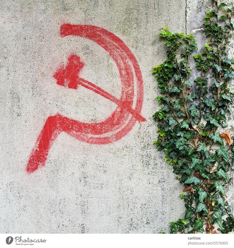Hammer and sickle | Graffiti can do anything Bolshevism Working class Farmer class Dictatorship of the proletariat Graffito Red Wall (barrier) Ivy
