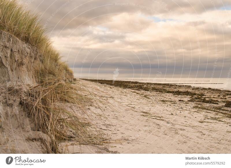 on the beach with dune on the Baltic Sea. Cloudy sky. Waves meet sand. Landscape Dune sea ocean dune grass wave water landscape cloudy time-out sunny horizon