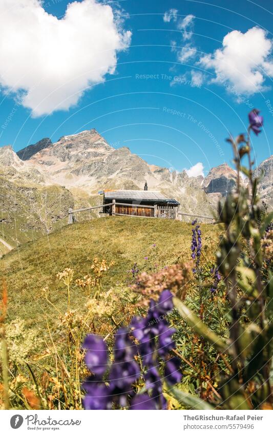 Chalet in front of mountains with flowers in the foreground hike Engadine guarda Switzerland Grass Sun sunny Sunlight Clouds Blue sky Mountain Heart