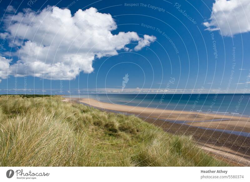Fluffy white cloud in the blue sky over sand dunes in Druridge Bay in Northumberland, UK Sky Summer Blue Beach Dunes Ocean coast coastal strip North East