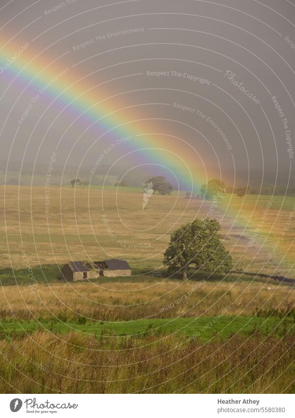 Rainbow over a derelict building in Northumberland, UK during a rain shower Weather Wet Summer countryside Barn Derelict Ruin Shed Building fields Landscape