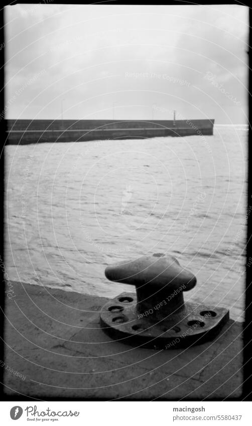 Port bollards in Madeira Old Loneliness Black & white photo Sadness Transience Analog analogue photography black-and-white Black and white photography