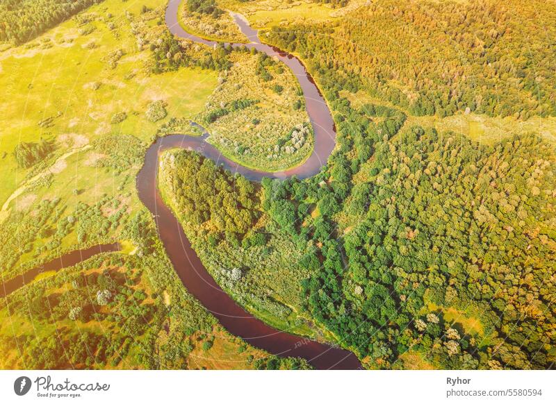 Top View Of Beautiful European Nature From High Attitude. Drone Flight View. Bird's Eye View Of Green Forest Woods In Sunny Day. Aerial View Of Summer Curved River Landscape