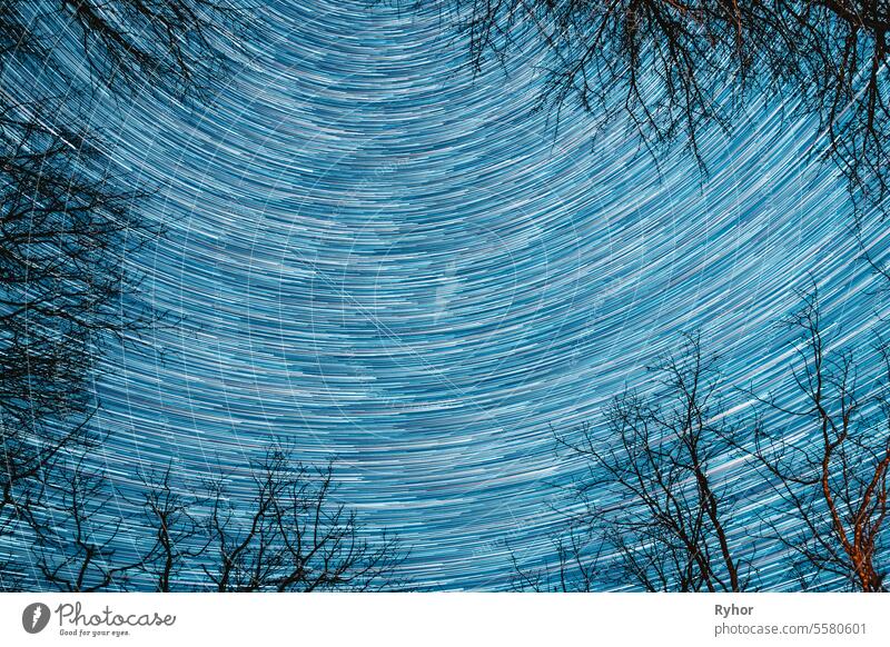 Amazing Unusual Stars Effects In Sky. Abstract Star Lines Move In Sky.spin Trails Of Stars Above Tree Crowns Without Foliage. Night Rotate Sky Star Background. Bright Blue