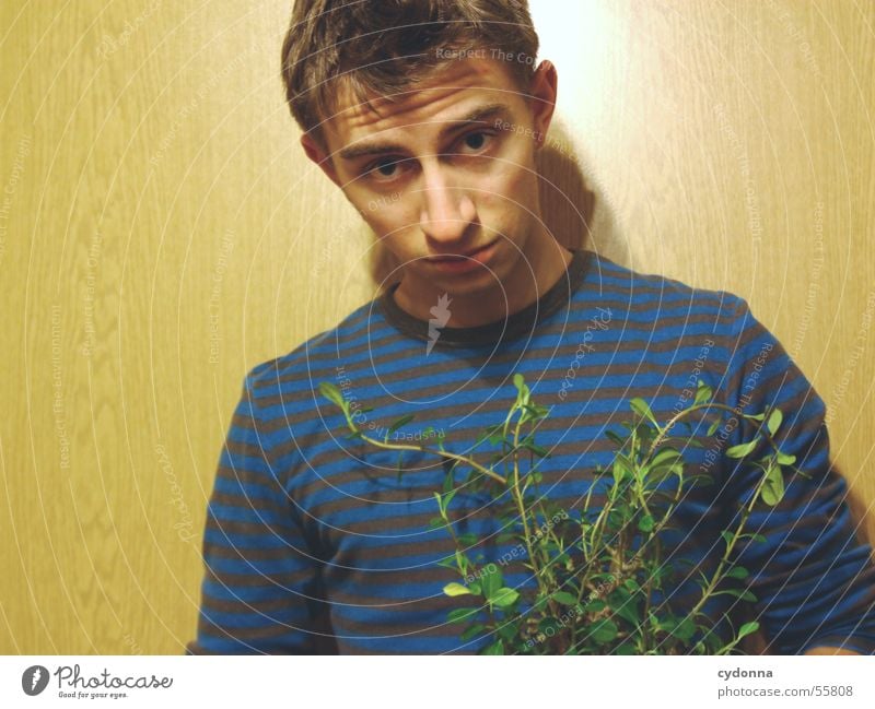 Human Child XIII Man Portrait photograph Style Wall (building) Wood Hand Posture Sweater Striped Foliage plant Plant Flowerpot Camouflage Light Human being