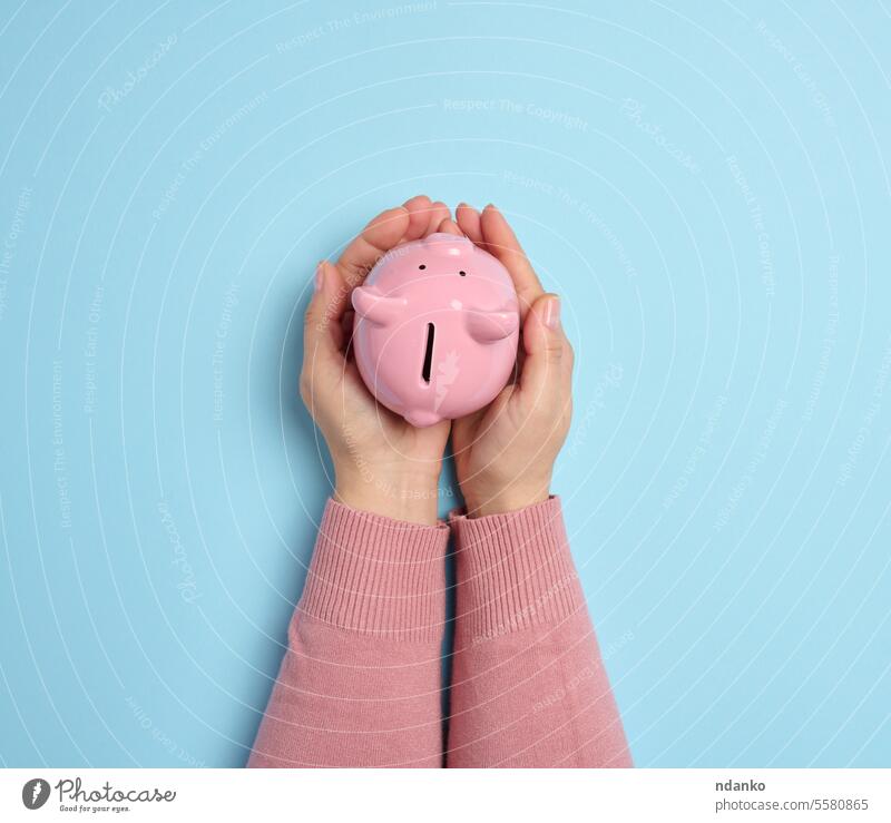 Female hands hold a pink ceramic piggy bank against a blue background, symbolizing the concept of saving money female financial investment budgeting wealth
