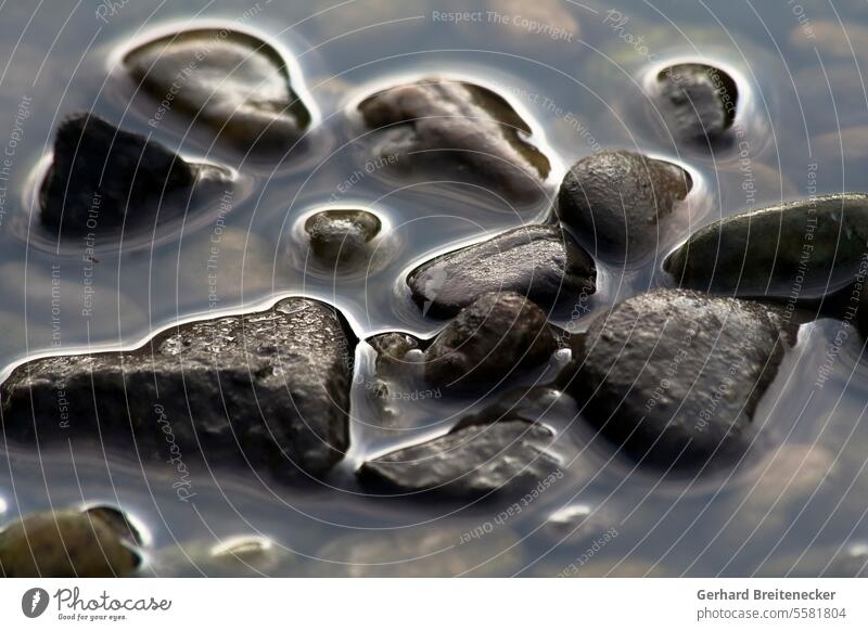 Stones in shallow water Water stones Shallow tranquillity reflection strength