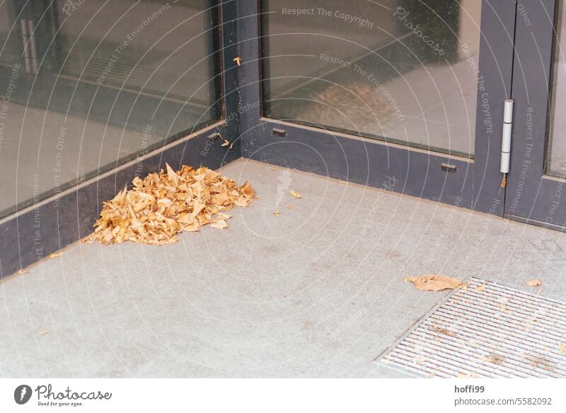 Autumnal pile of leaves in the entrance area of an office building in the city heap of leaves Autumn leaves Winter falling leaves autumn mood Leaf urban