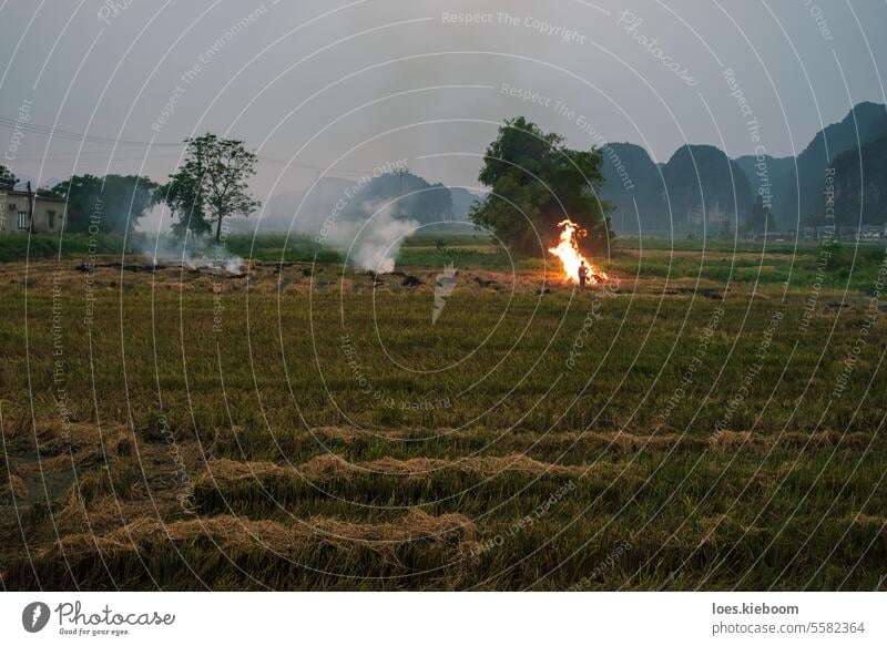 Burning of the rice field after harvest in front of karst mountains, Ninh Binh, Vietnam fire burning agriculture vietnam haze farm season person asia
