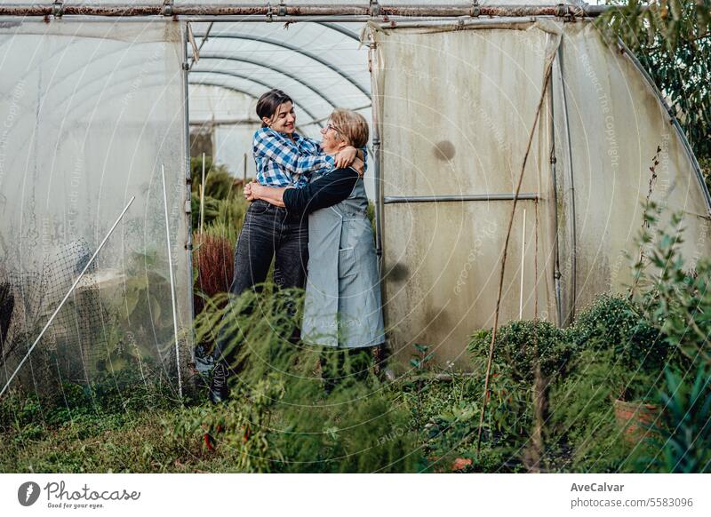 Grandmother and granddaughter in the greenhouse working day. National Grandparents Day concept. senior harvesting farming kiss husband relationship romance