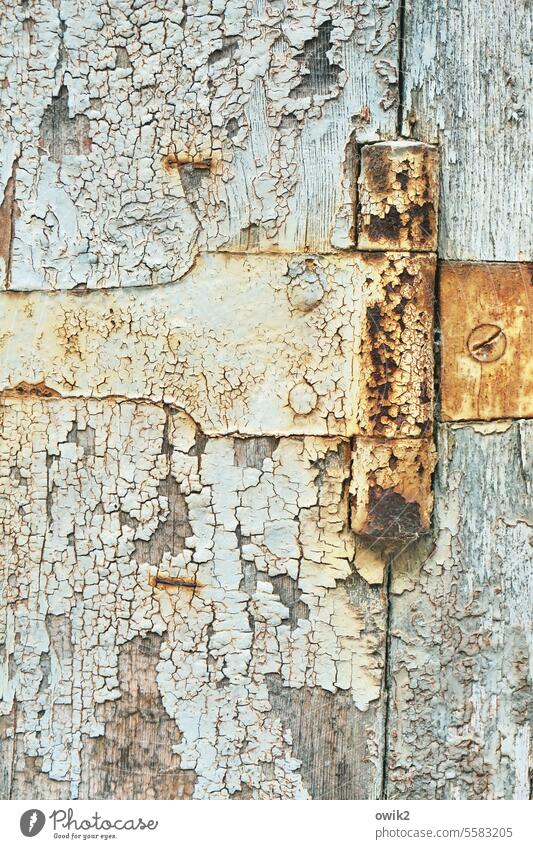 Rusty joint door Wood Hinge Metal Colour Structures and shapes Ravages of time Exterior shot Colour photo Old Historic Tracks Crack & Rip & Tear Flake off