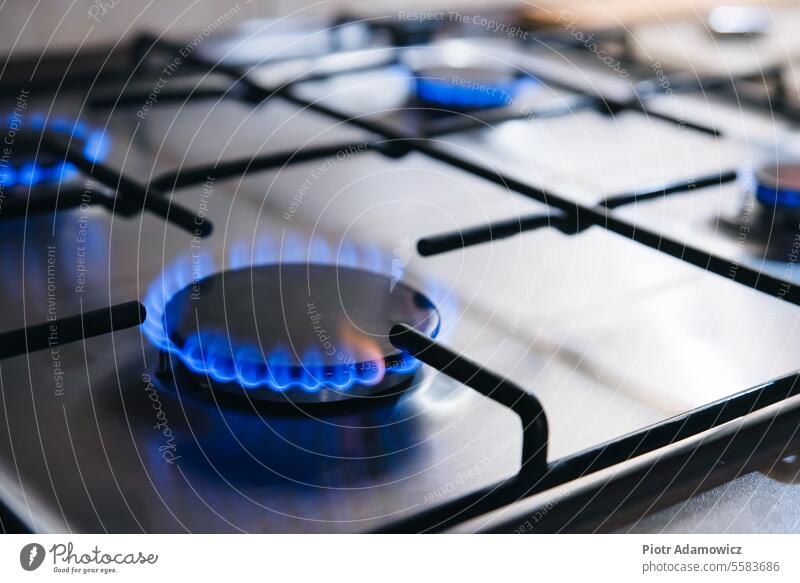 Gas kitchen stove cook with blue flames burning gas burner bill cooking heat home fire domestic interior natural cash cost butane circle closeup color