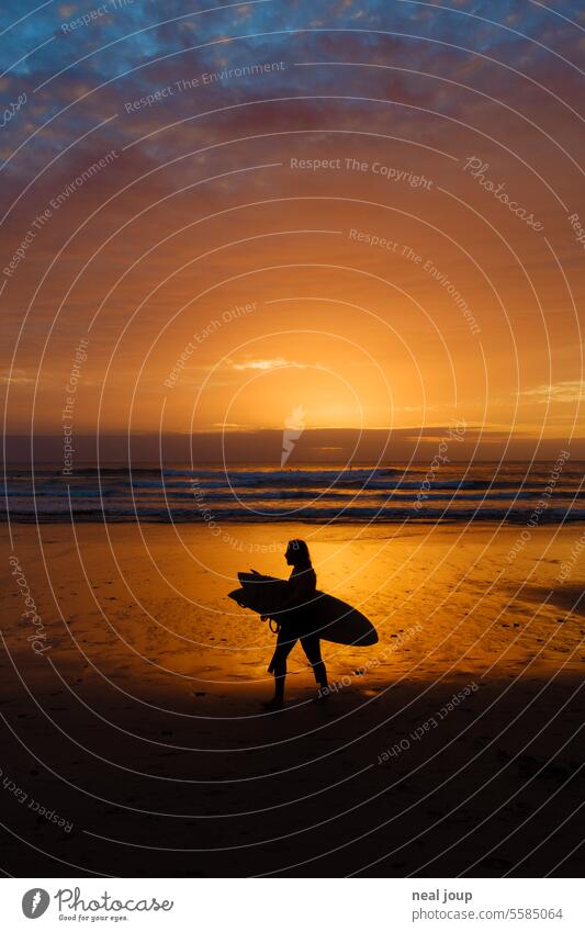 Silhouette of a surfer in the sunset Beach Sunset Contrast Surfer Surfing Evening Light Surfboard Lifestyle Aquatics voyage vacation Ocean coast activity