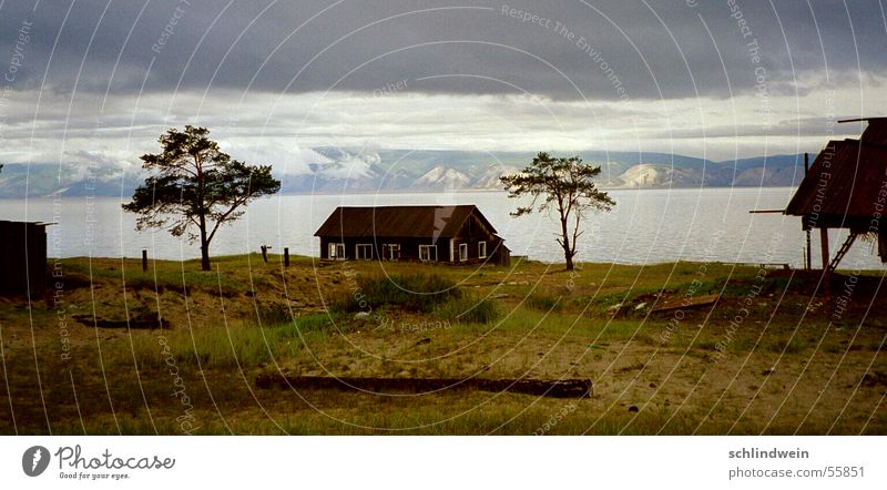 siberian loneliness Loneliness Siberia House (Residential Structure) Tree Lake Baikal