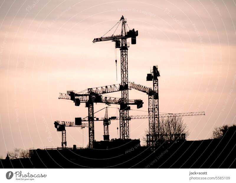 Crane types among themselves Construction crane Sky Silhouette Construction site Contrast Neutral Background Multiple Build Technology Change Determination