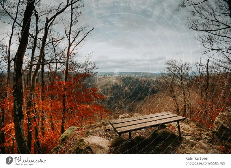 King David Rock hell valley Hell outlook Resting place Bench Relaxation mountain Franconian Forest Landscape Vacation & Travel Nature Mountain Tourism voyage