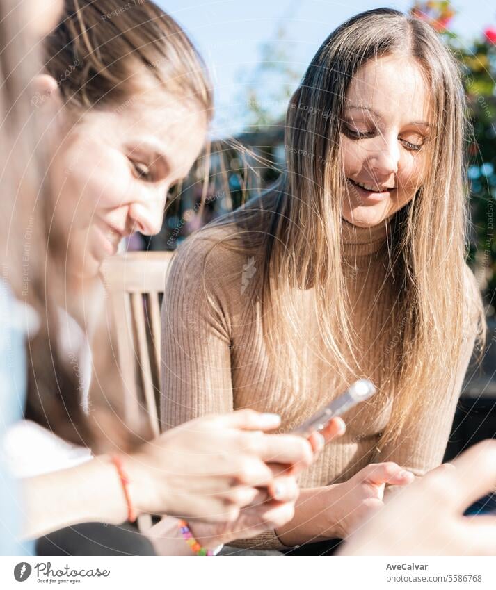 College girls taking a break from studying showing messages on phones while talking and laughing. group students friends happy bonding sharing conversation
