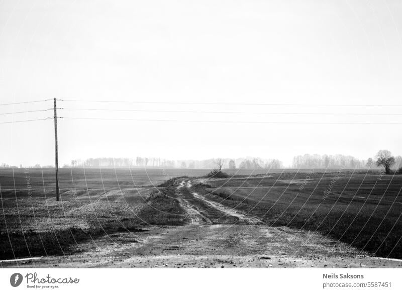 pathway through empty field dirt road black and white agricultural traces tracks autumn dull dark gloomy nature rural landscape season outdoors environment