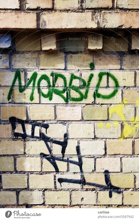 MORBID(e beauty) ? Graffito Wall (building) Morbid writing Green clinker masonry Characters Typography Street art Youth culture Creativity Subculture