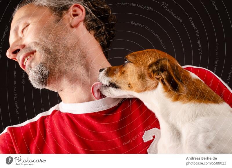 Cute young Jack Russell Terrier kisses his human friend on the neck young animal jack russell Joy Happiness Keep Love Arm Feeling of togetherness