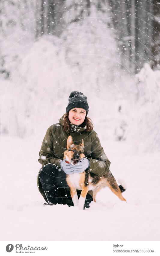 Young caucasian girl woman posing with puppy dog in winter forest in snowy day Puppy Outdoors Crossbreed kind Snow To enjoy young adult Dog Together Snowstorm