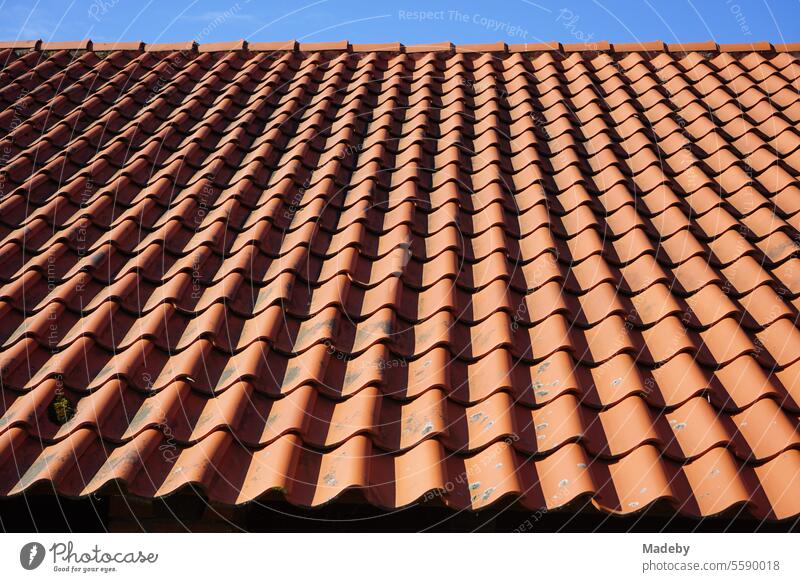 Corrugated tiles in red-brown on the tiled roof of an old building on the grounds of the industrial museum in the Lage brickworks in the province near Detmold in East Westphalia-Lippe