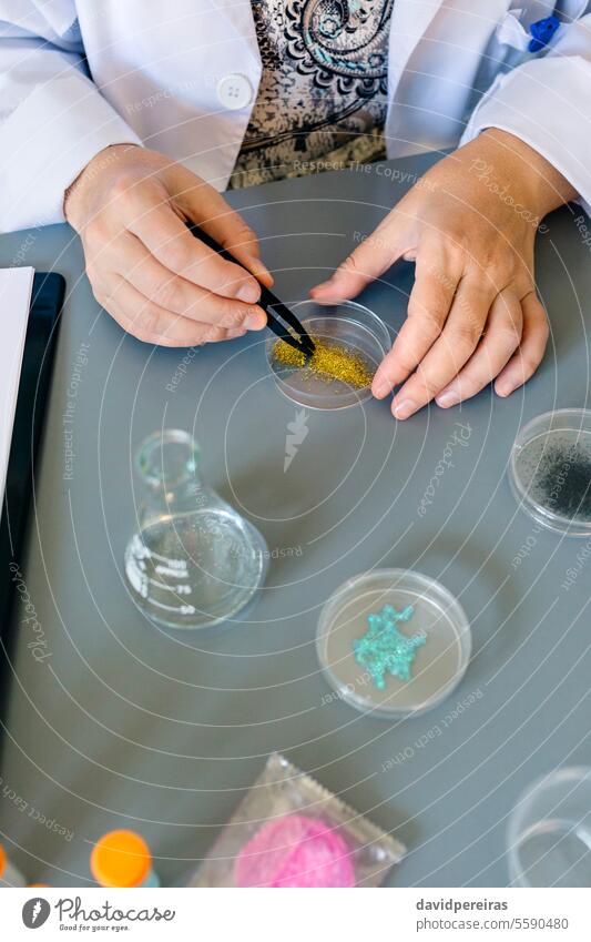 Female scientist with tweezers analyzing golden glitter sample over petri dish on research lab female unrecognizable environmental laboratory european union ban