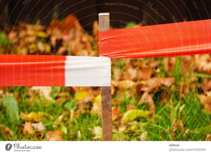 Post with tightly stretched red and white barrier tape in front of a meadow with foliage cordon Pole Meadow Autumn makeshift Reddish white No trespassing