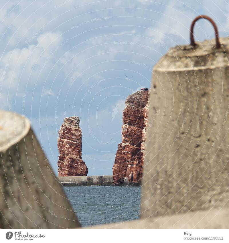 Lange Anna on Heligoland Helgoland Tall Anna Rock tetrapods Water Ocean North Sea North Sea Islands Red rock Tourist Attraction Exterior shot Colour photo