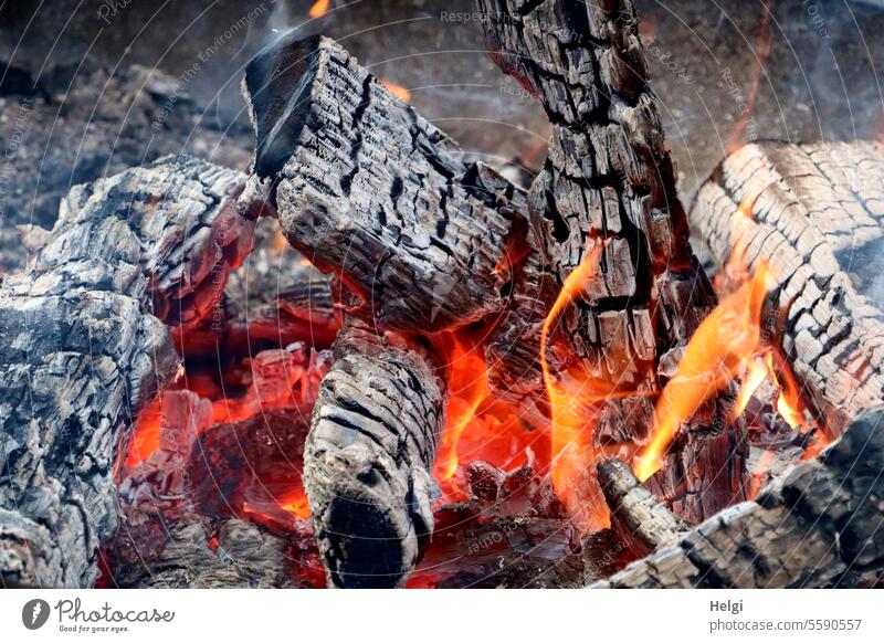 warming | campfire Fire Embers log Burnt Warmth Hot warm sb./sth. Flame Wood Fireplace Firewood Blaze Glow Incandescent Exterior shot ardor Orange Deserted
