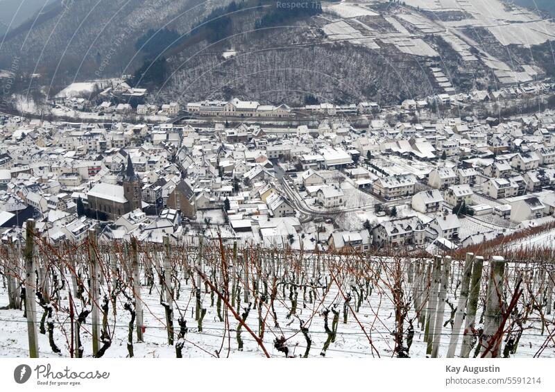 Wintery Ahr valley near Dernau Eifel Rhineland-Palatinate Colour photo Nature Exterior shot Germany Vineyard Landscape Wine growing Idyll Trip Winter mood
