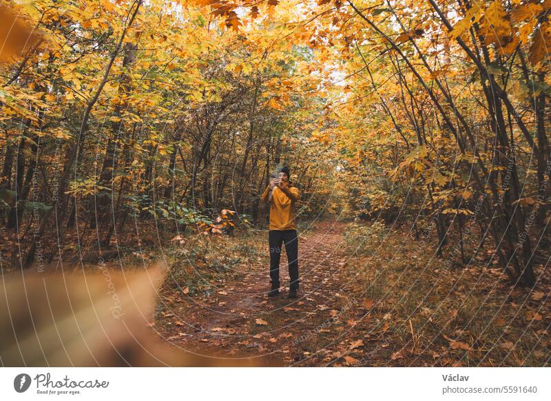 Hiker aged 25 takes a selfie with a colourful autumn forest in the Hoge Kempen National Park in eastern Belgium. Wilderness in Flanders in November young adult