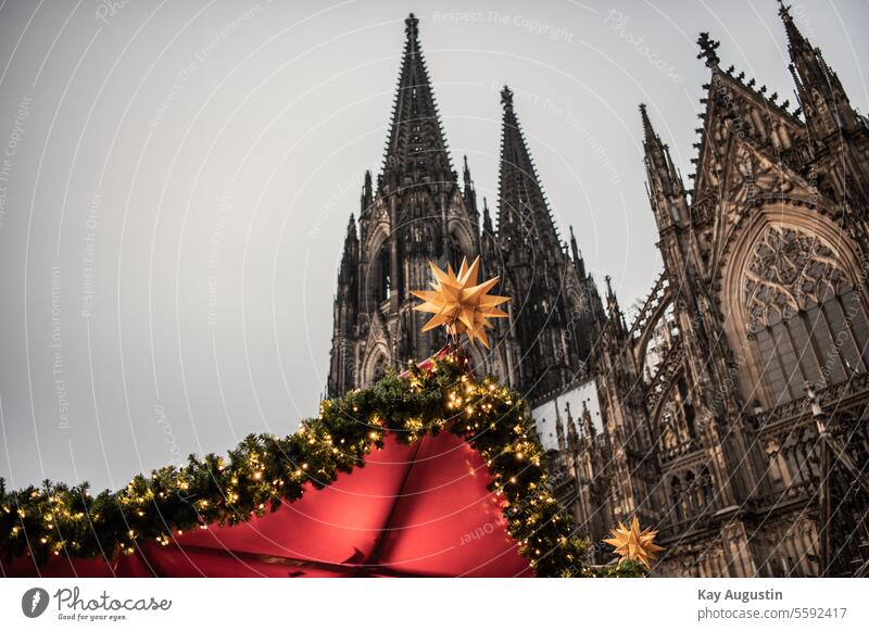 Christmas market at Cologne Cathedral Tourist Attraction Landmark Colour photo Church Exterior shot Manmade structures Religion and faith Architecture Dome Town