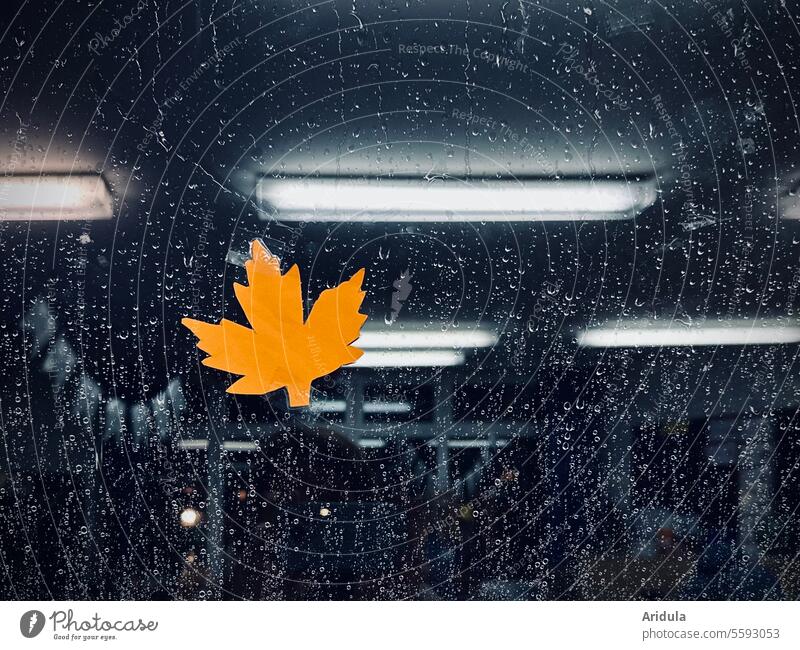 Autumn leaf made of paper on a rainy window pane with light reflection Rain Slice Window Window pane Drops of water Wet Leaf Maple leaf Orange Bad weather