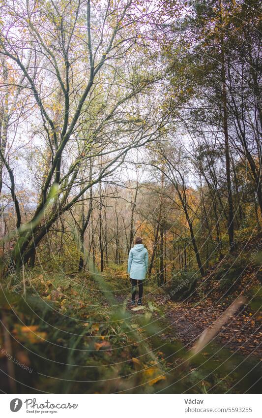 Young sporty woman in a blue raincoat stands in a fragrant forest during rainy weather in Hoge Kempen National Park, Belgium. Autumn colour season young adult