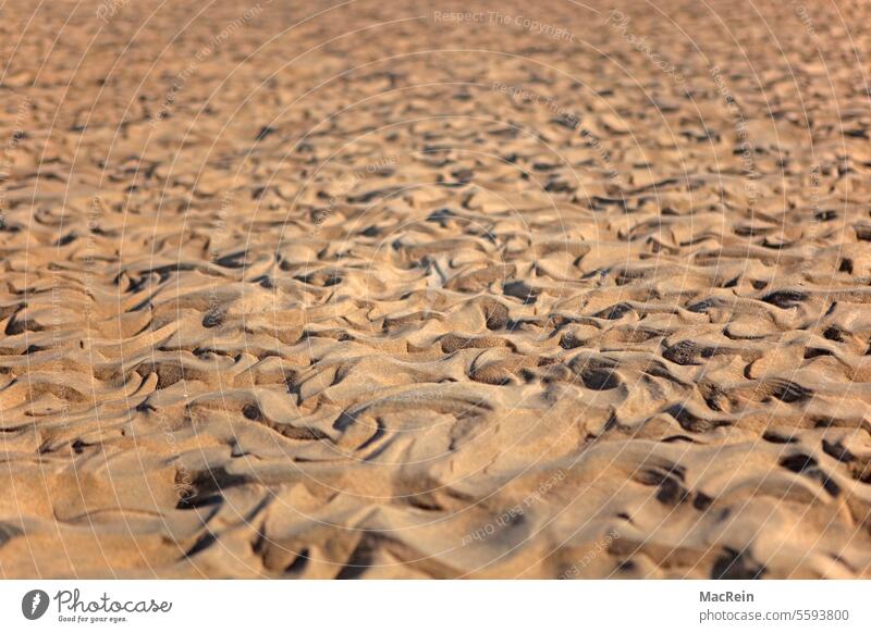 Sand structures Exterior shot Image sections Section of image fuller picture picture-filling image-filling Image Filling Bay (horse) brown Brown brd